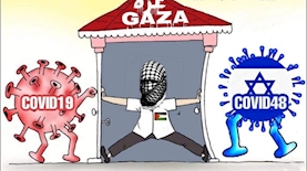 ציוץ אנטישמי, צילום: צילום מסך טוויטר